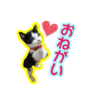 ぶっさんスタンプ(幼少期)（個別スタンプ：32）
