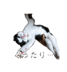 ぶっさんスタンプ(幼少期)（個別スタンプ：40）