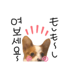 うじゅすたんぷ(ハングル＆日本語)（個別スタンプ：8）