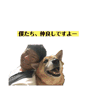 TAKAMASAスタンプ 第二弾（個別スタンプ：3）