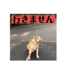 TAKAMASAスタンプ 第二弾（個別スタンプ：11）