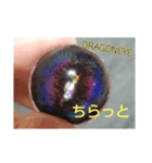わたちのしたんぷ（個別スタンプ：7）