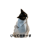 我が家のくろねこコテツスタンプ（個別スタンプ：6）