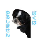 あんのん日常（個別スタンプ：3）