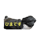 あんのん日常（個別スタンプ：7）