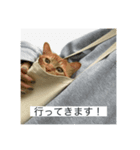 大天使テトくん（個別スタンプ：2）