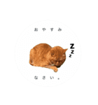 大天使テトくん（個別スタンプ：8）