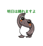 かえるのつゆ子さんの挨拶＆日常会話（個別スタンプ：1）