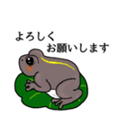 かえるのつゆ子さんの挨拶＆日常会話（個別スタンプ：3）
