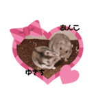 hamsterーanko（個別スタンプ：2）
