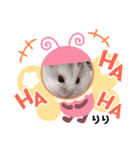 hamsterーanko（個別スタンプ：3）