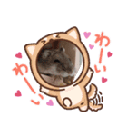 hamsterーanko（個別スタンプ：5）