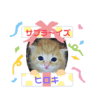 ヒロキだよ②（個別スタンプ：1）