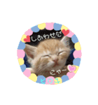 ヒロキだよ②（個別スタンプ：4）