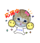 ヒロキだよ②（個別スタンプ：14）