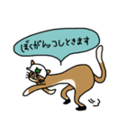 ボットム猫（個別スタンプ：9）