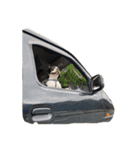 犬戦士ぶんぶん（個別スタンプ：9）