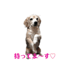 びーぐる★じぇり岡じぇり男（個別スタンプ：4）