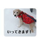 びーぐる★じぇり岡じぇり男（個別スタンプ：15）