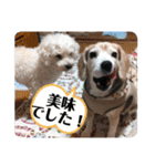 びーぐる★じぇり岡じぇり男（個別スタンプ：18）