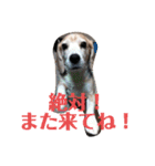 びーぐる★じぇり岡じぇり男（個別スタンプ：22）