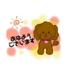 プードルショコちゃん（個別スタンプ：1）