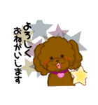プードルショコちゃん（個別スタンプ：3）