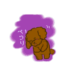 プードルショコちゃん（個別スタンプ：4）