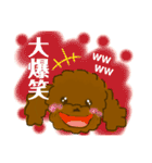 プードルショコちゃん（個別スタンプ：13）