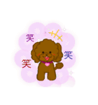 プードルショコちゃん（個別スタンプ：14）