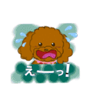 プードルショコちゃん（個別スタンプ：16）