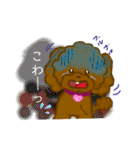 プードルショコちゃん（個別スタンプ：17）