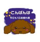プードルショコちゃん（個別スタンプ：23）