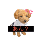 ときどきロイくん（個別スタンプ：1）