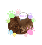 サラ＆ショコラ（個別スタンプ：11）