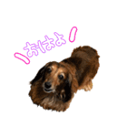 もさんといっしょ（個別スタンプ：1）