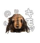 もさんといっしょ（個別スタンプ：2）