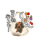もさんといっしょ（個別スタンプ：4）