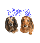 もさんといっしょ（個別スタンプ：7）