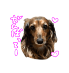 もさんといっしょ（個別スタンプ：8）