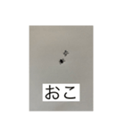 だに〜のにちじょう（個別スタンプ：7）