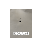 だに〜のにちじょう（個別スタンプ：15）
