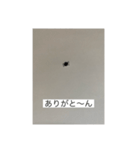 だに〜のにちじょう（個別スタンプ：22）