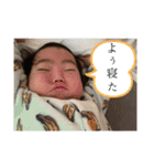 こたさくあさ2021（個別スタンプ：13）