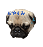 ごまと大福（個別スタンプ：4）