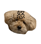 みんな大好きココ（個別スタンプ：2）
