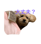 みんな大好きココ（個別スタンプ：5）