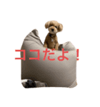 みんな大好きココ（個別スタンプ：8）