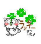 可愛いにゃんこ達【12】でか文字こもじ（個別スタンプ：1）