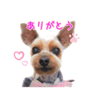 ルカのひとことスタンプ（個別スタンプ：1）